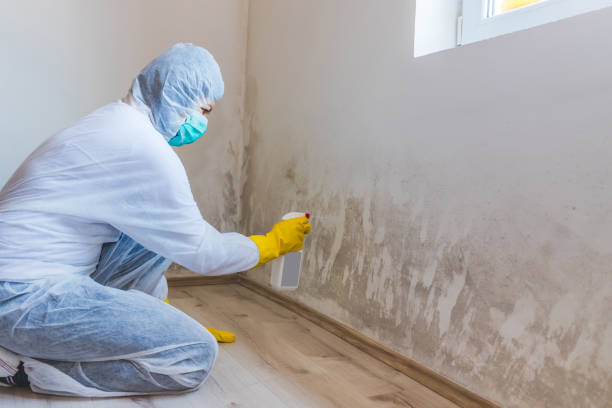 Mold Remediation specialist working in Four Oaks